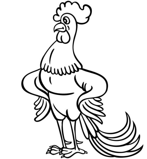 公鸡简笔画  