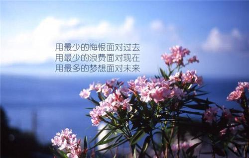 关于梦想励志文字图片