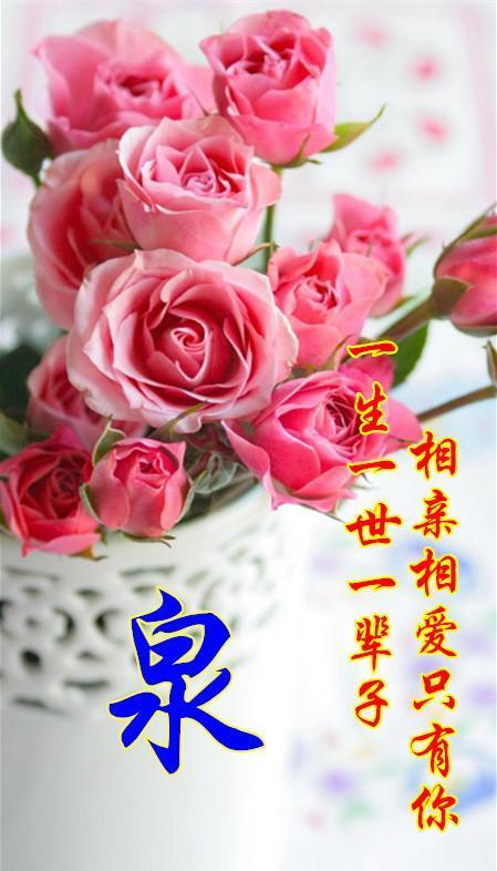 属于你的玫瑰花背景图片 