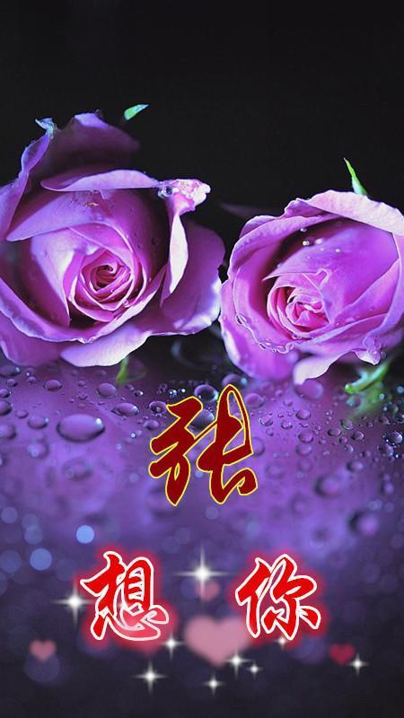 属于你的玫瑰花背景图片 