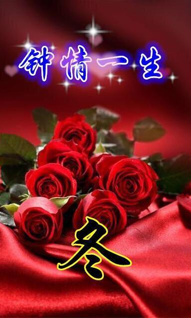 属于你的玫瑰花背景图片 