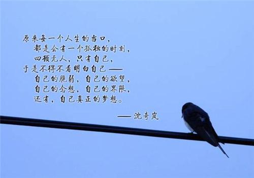 关于梦想励志文字图片