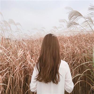 美丽的背影女生微信头像