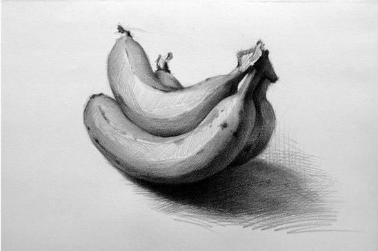 静物素描图片 