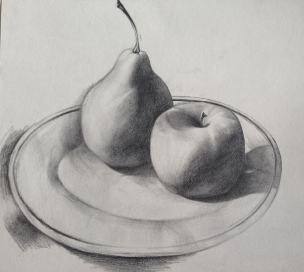 静物素描图片 
