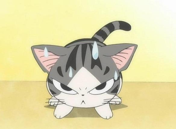 甜甜私房猫图片