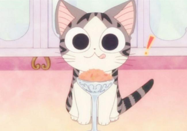 甜甜私房猫图片