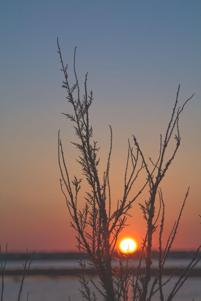 夕阳红背景图片