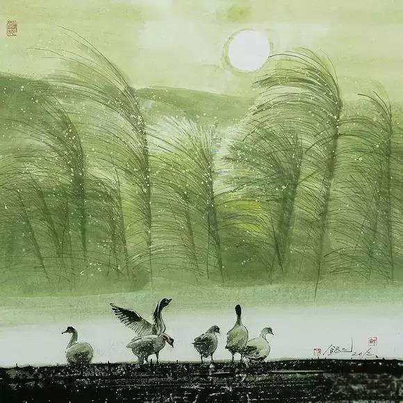 你不来，我不老的背景图片