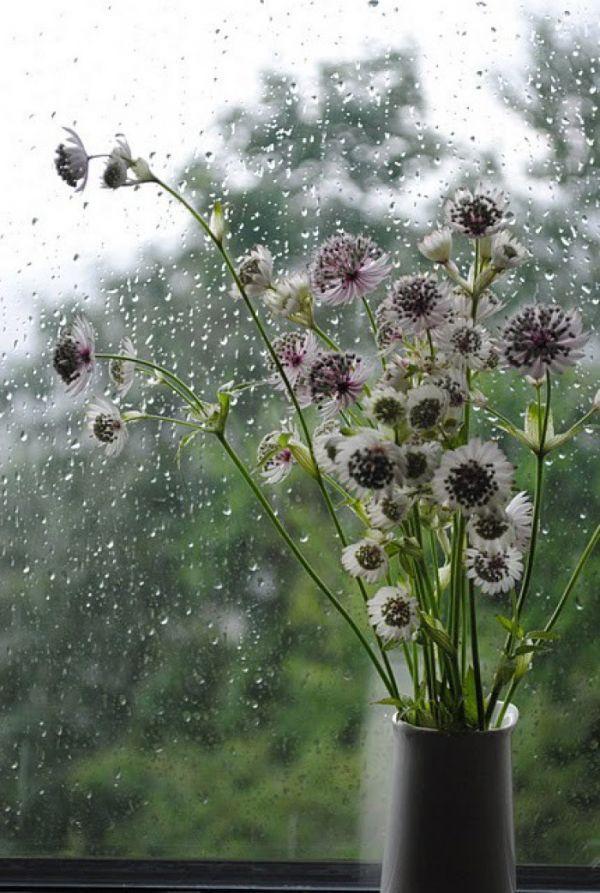 雨一直下背景图片 