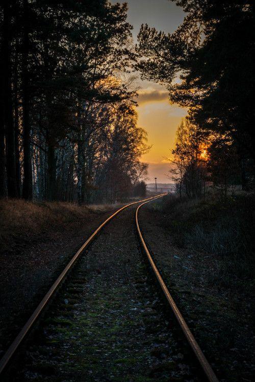 夕阳红背景图片