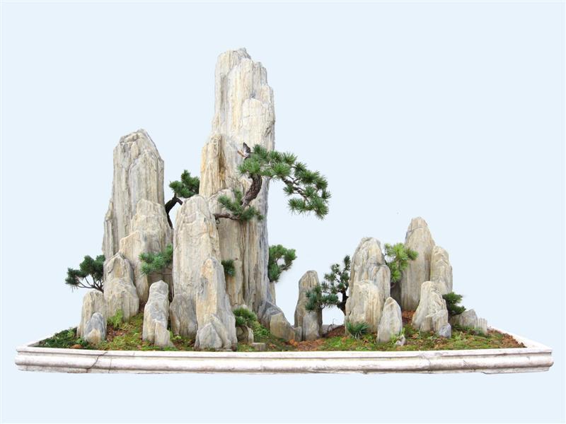 山水盆景图片欣赏