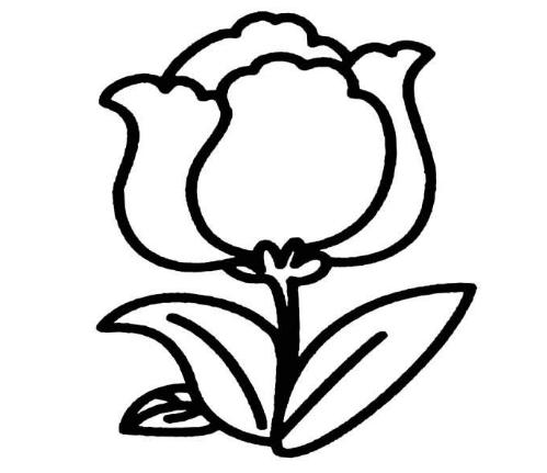 逼真的花朵简笔画