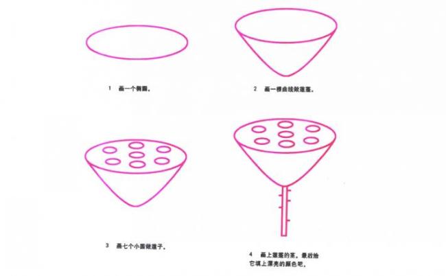 莲蓬简笔画图片