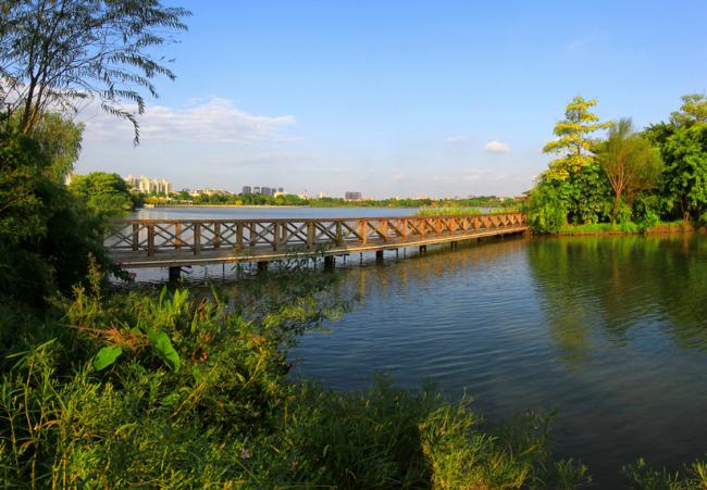 广州海珠湖风景图片
