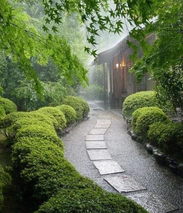 孤独的雨景图片
