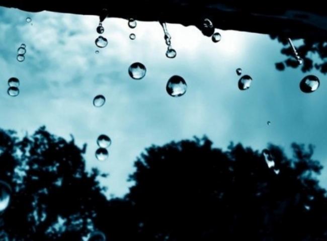 孤独的雨景图片