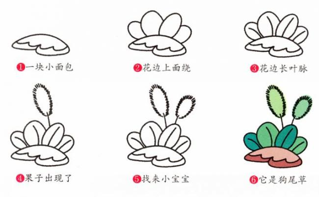 狗尾巴草