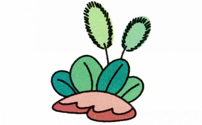 狗尾巴草