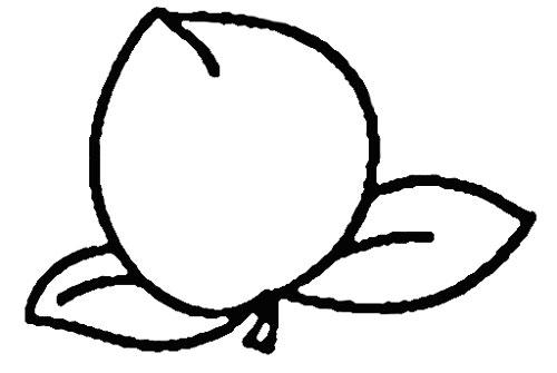 画桃子简笔画图片