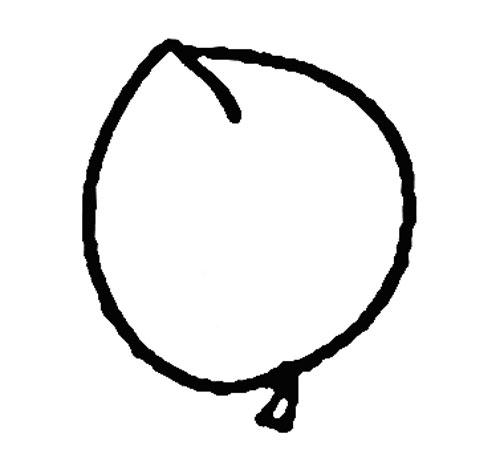 画桃子简笔画图片