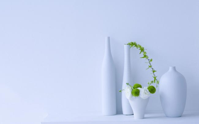 室内花卉盆栽图片
