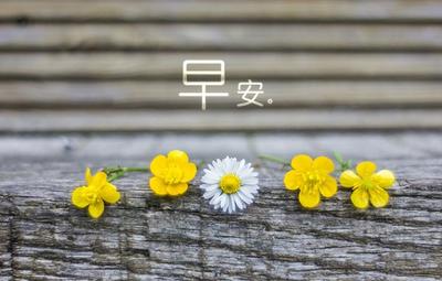 早安图片,早安励志语录图片 图片