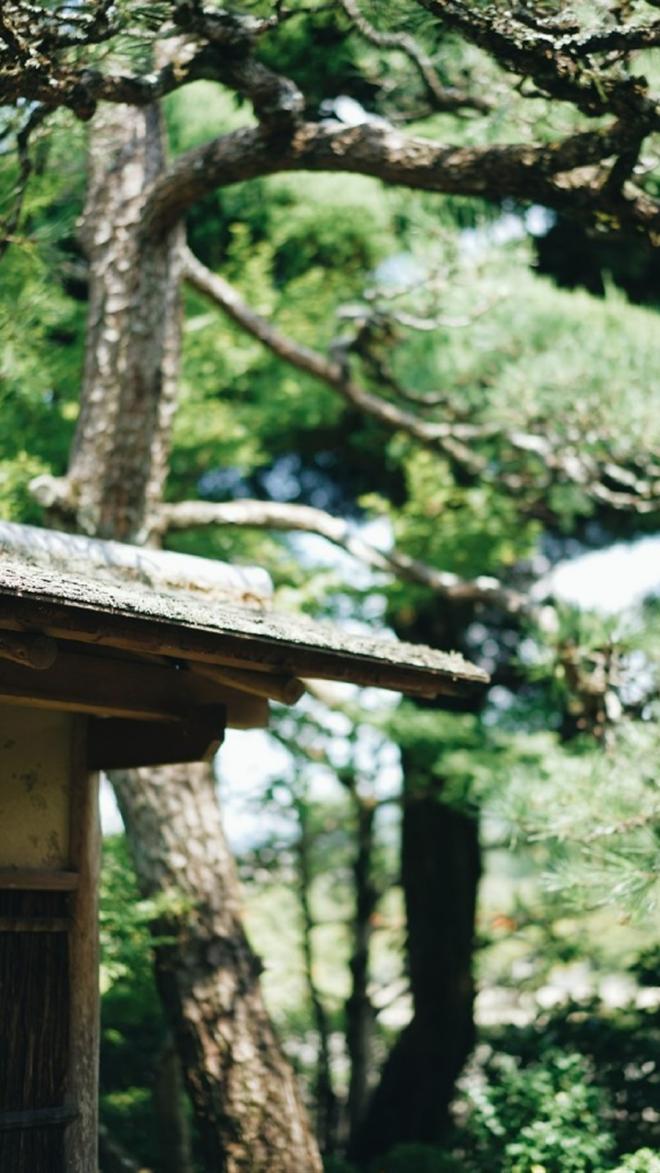 走走停停山水风光