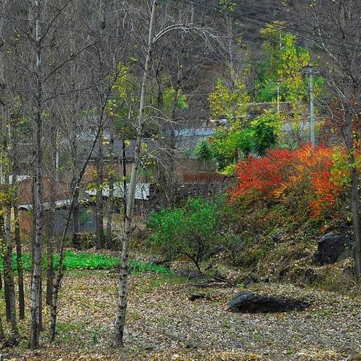 中国最漂亮的地方唯美风景图片