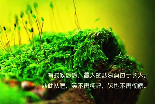 LOMO唯美图片