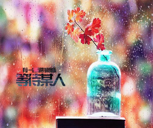 分享一组瓶中花美图 鲜花植物唯美图片