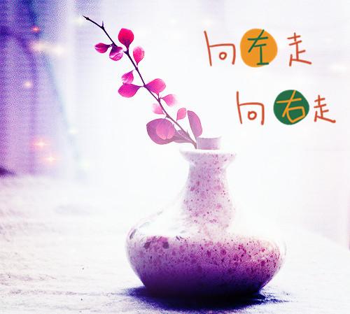 分享一组瓶中花美图 鲜花植物唯美图片