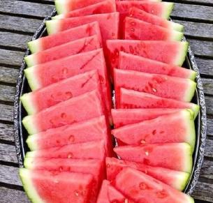 西瓜的夏天图片