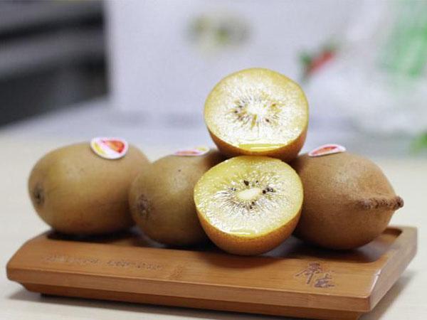黄金奇异果