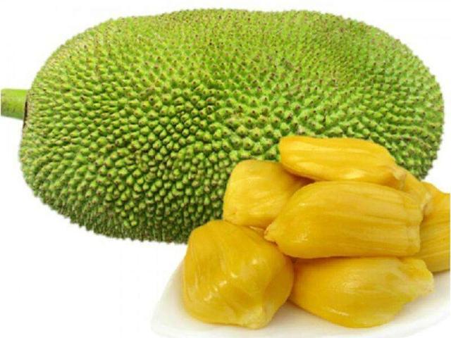 含有较多糖分的菠萝蜜水果图片