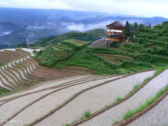 梯田图片