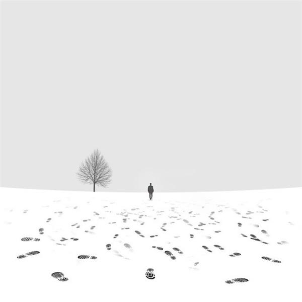极美的雪景背景图片