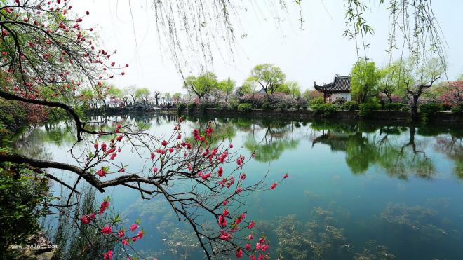 风景背景图片
