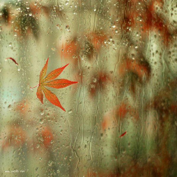 雨一直下背景图片