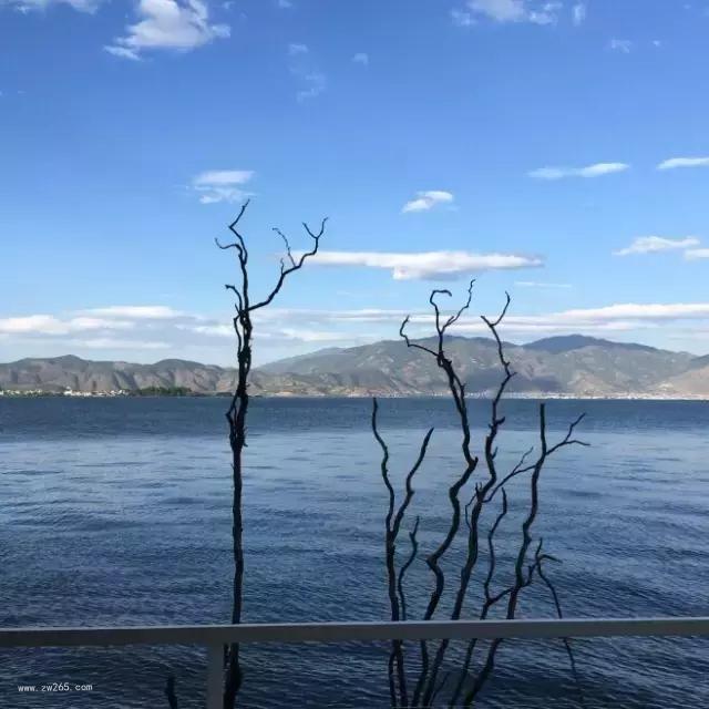 波澜有个性背景图片 