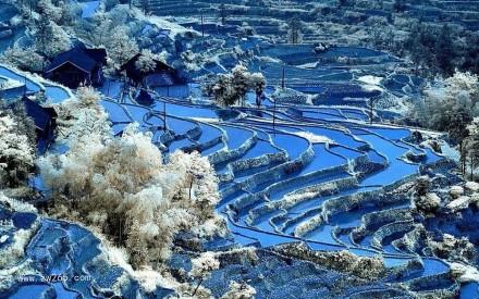 自然风光梯田背景图片