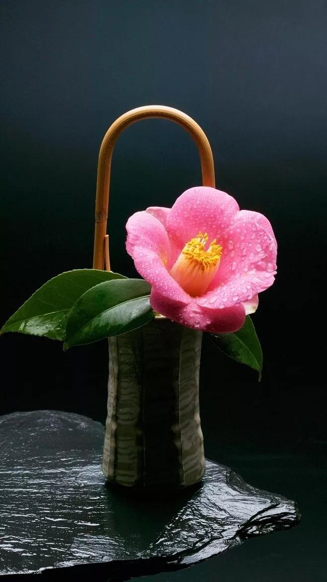 一束花风格背景图片