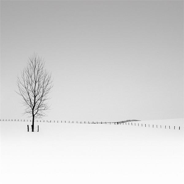 极美的雪景背景图片
