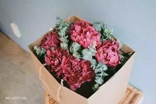 国色天香牡丹花图片