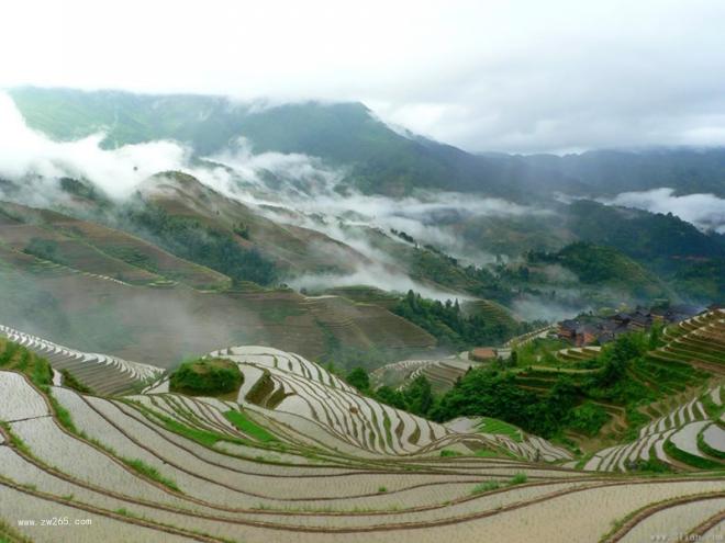 梯田图片