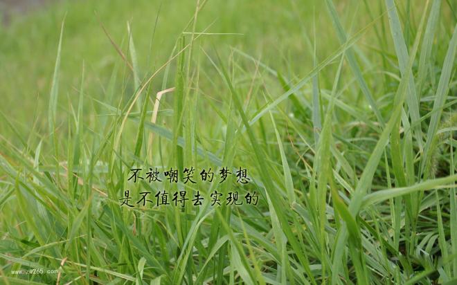 遥远梦想背景图片