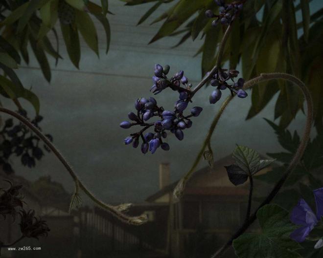 灰暗鲜花背景图片