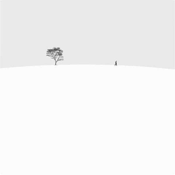 极美的雪景背景图片