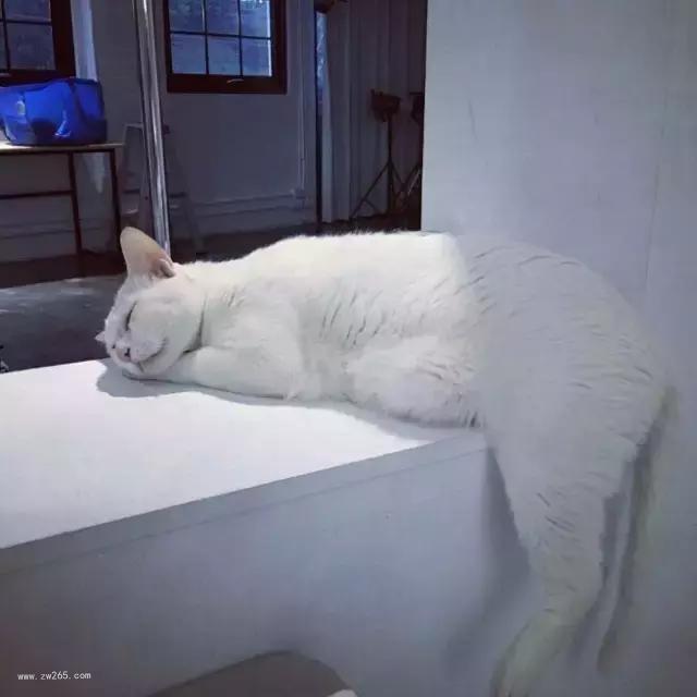 波澜有个性背景图片 