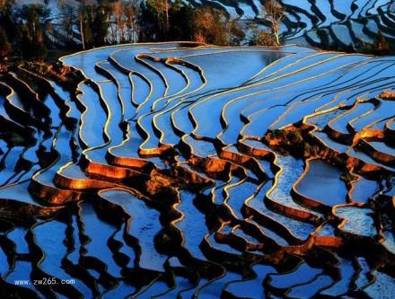 自然风光梯田背景图片